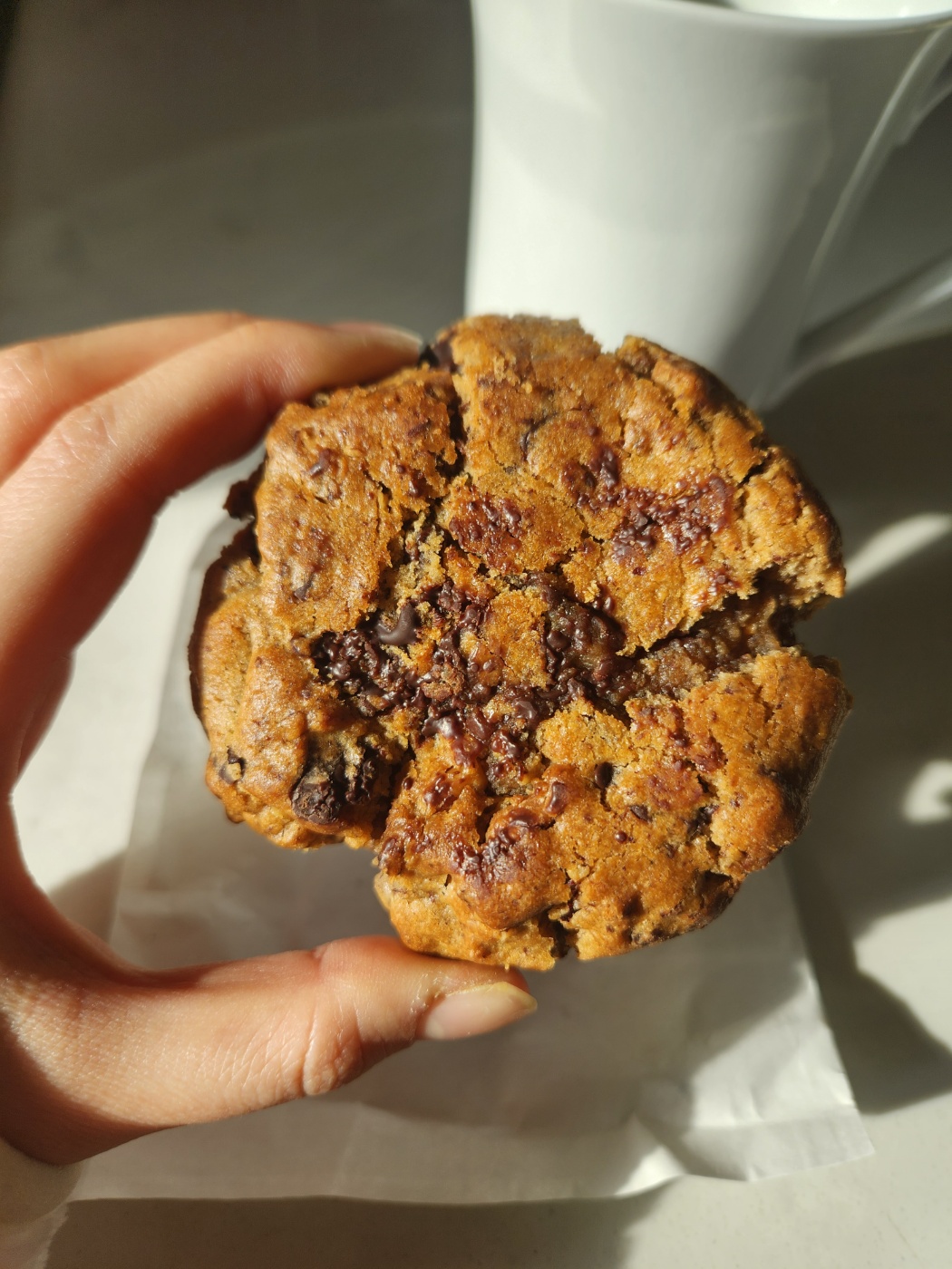 Chocolate Chip Pecan cookie of We Bake Love at Hyochang Park, Yongsan-gu